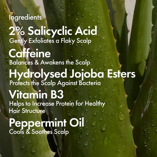 Bondi Boost Dandruff Repair Leave-in Scalp Serum