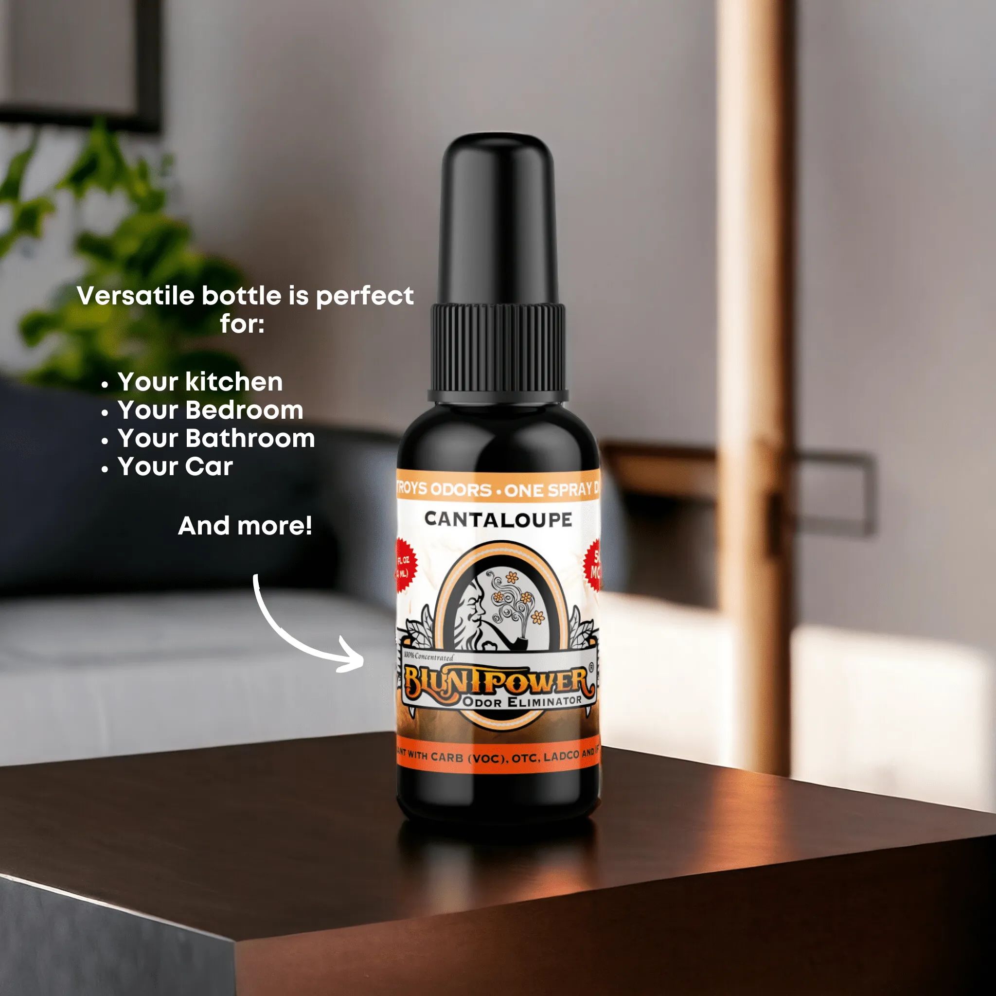 Cantaloupe Long Lasting Air Freshener Spray