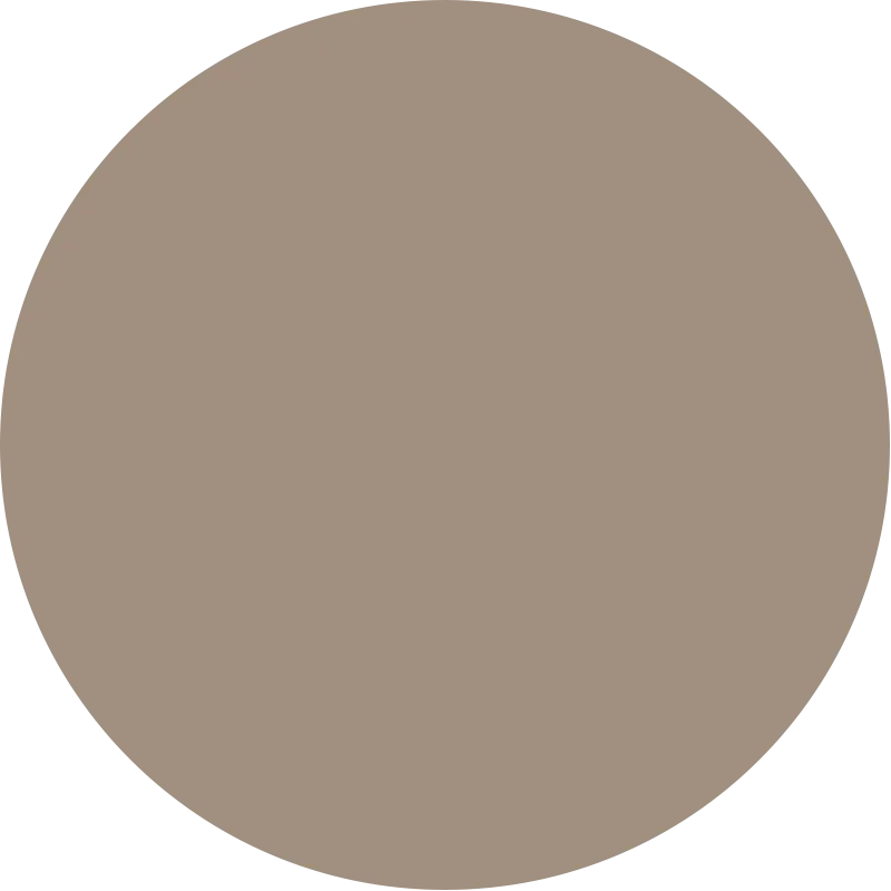 Dual Brow Perfect Light